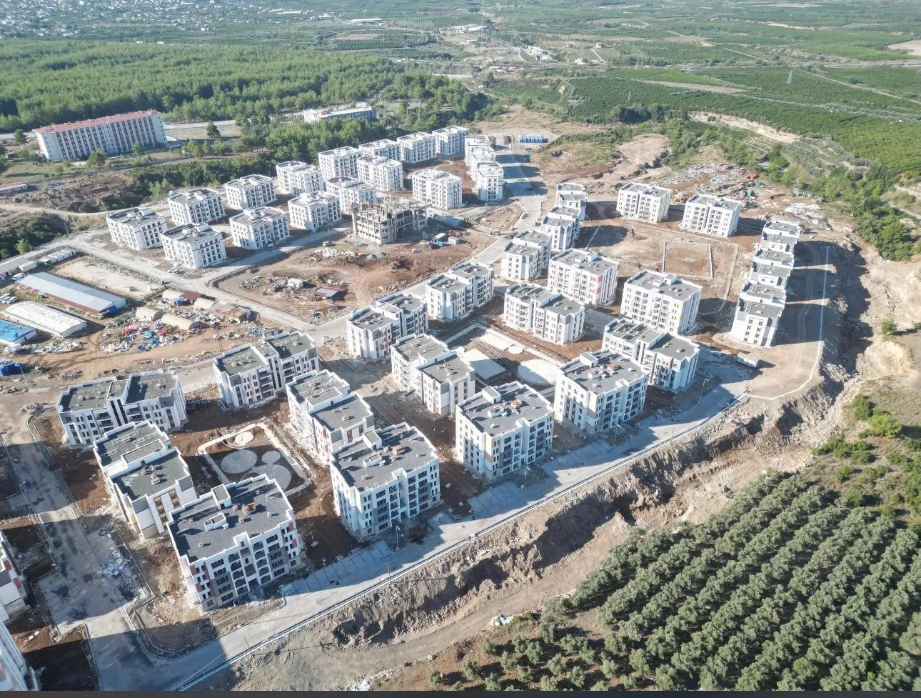 Gündüz havadan: konut alanı ve çevresindeki zeytinlik